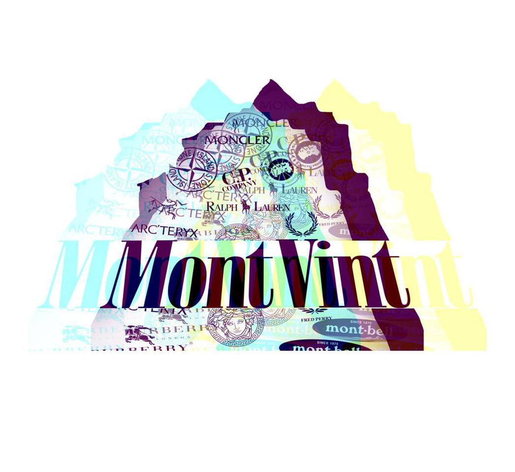 MontVint
