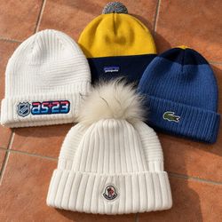 10154 The North Face Carhartt Beanies #10135