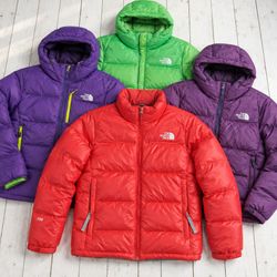 The North Face Pufferjacken 700