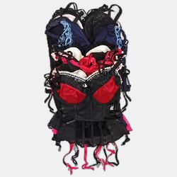 Women Corsets and Bustiers Bundle