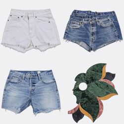 Levi's Denim Shorts