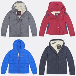 Hollister Winter Jackets and Parkas
