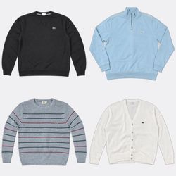 Lacoste Tommy Hilfiger Sweatshirts and Knitwear