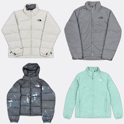 Premium Vintage The North Face Puffer Jackets and ..