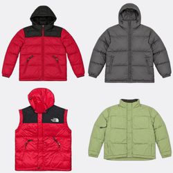 The North Face Puffer Jackets