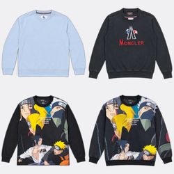 Sweatshirt Crew neck reseller lots