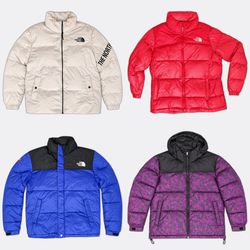 The North Face Puffer Jackets and Vests