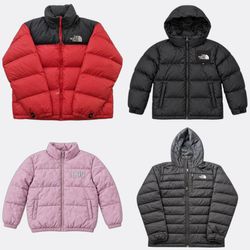 The North Face Puffer Jackets