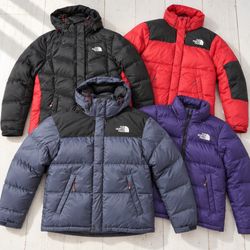 The North Face Puffer Jackets and Vests