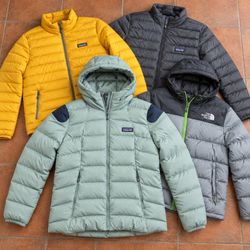 The North Face Patagonia Puffer Jacket ak887