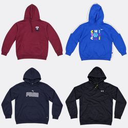 Mix Branded Hoodies