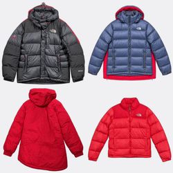 1173 The North Face Puffer Jackets