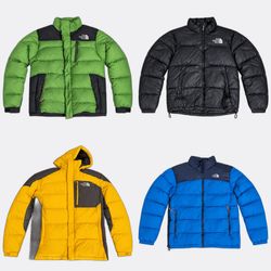 The North Face Puffer Jackets