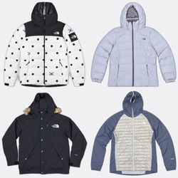 The North Face Puffer Jackets