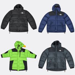 The North Face Puffer Jackets