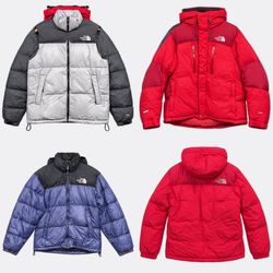 The North Face Puffer Jackets and Vest