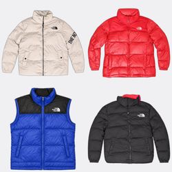 The North Face Puffer Jackets and Vests