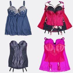 Women Corsets and Camisoles Lot