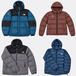 The North Face Puffer Jackets