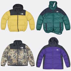 The North Face Puffer Jackets