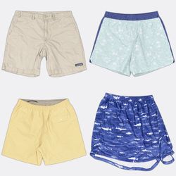 (FV-2934) Patagonia Shorts Selection