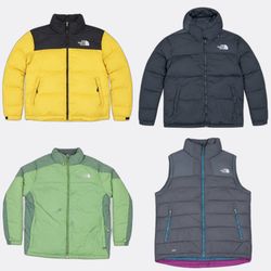 The North Face Puffer Jackets