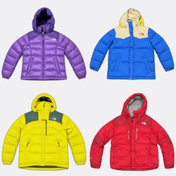 The North Face Puffer Jackets