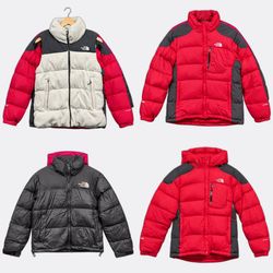 1266 The North Face Puffer Jackets and Vest
