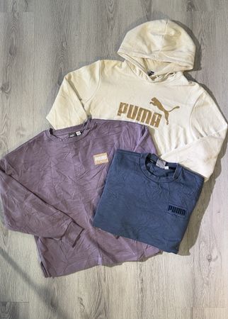 av-11979 puma スウェットシャツ フーディ